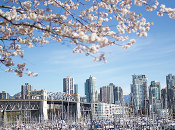 1-Day Vancouver Tour
